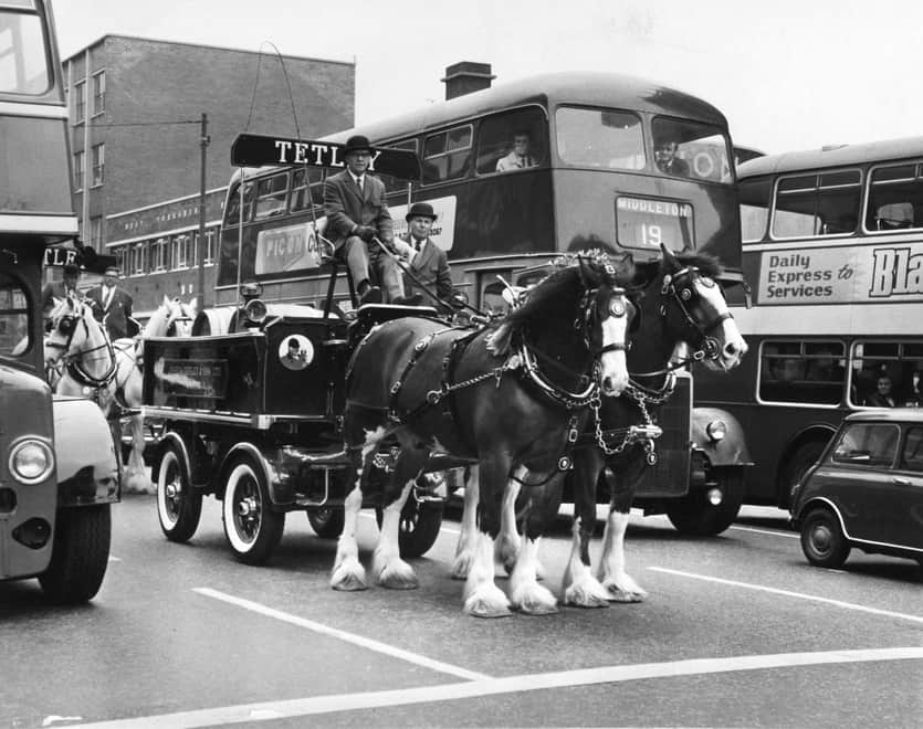 Tetleys Brewery Shire Horses and Carriage in 1969